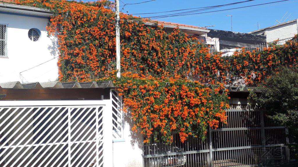 Sobrado em São Paulo, no bairro Bosque da Saúde