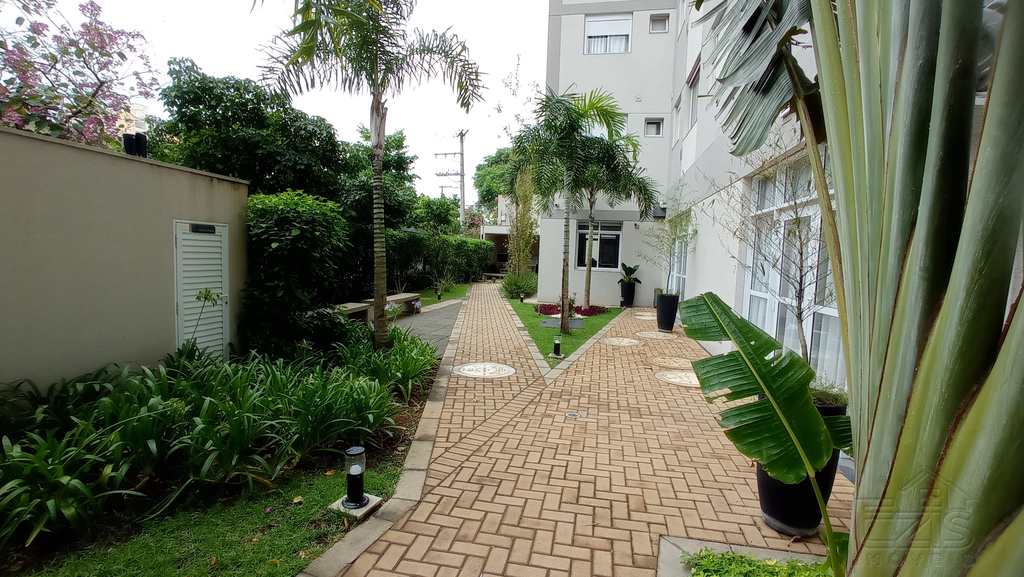 Apartamento em São Paulo, no bairro Cambuci