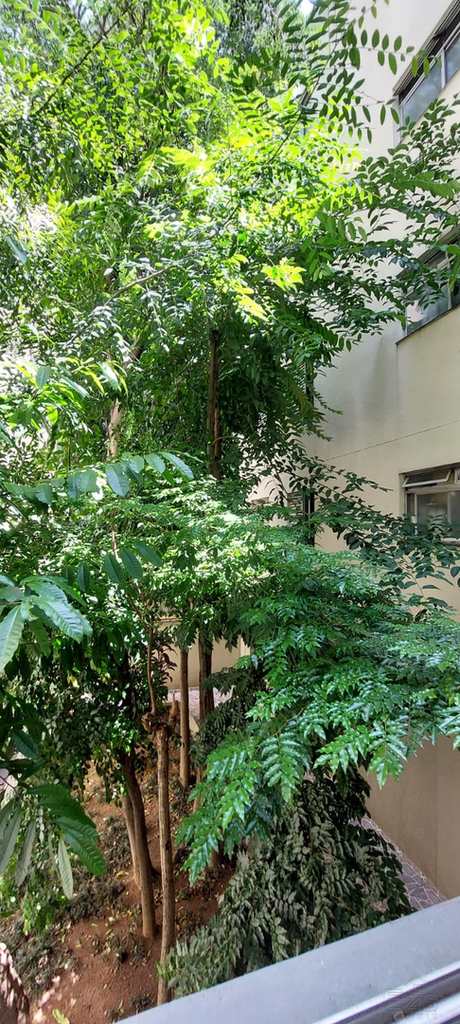 Apartamento em São Paulo, no bairro Vila Monumento