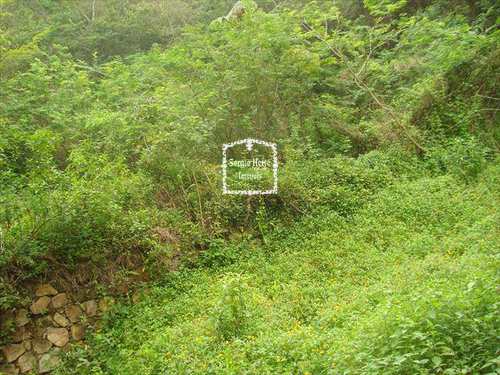 Terreno, código 299 em Ilhabela, bairro Perequê