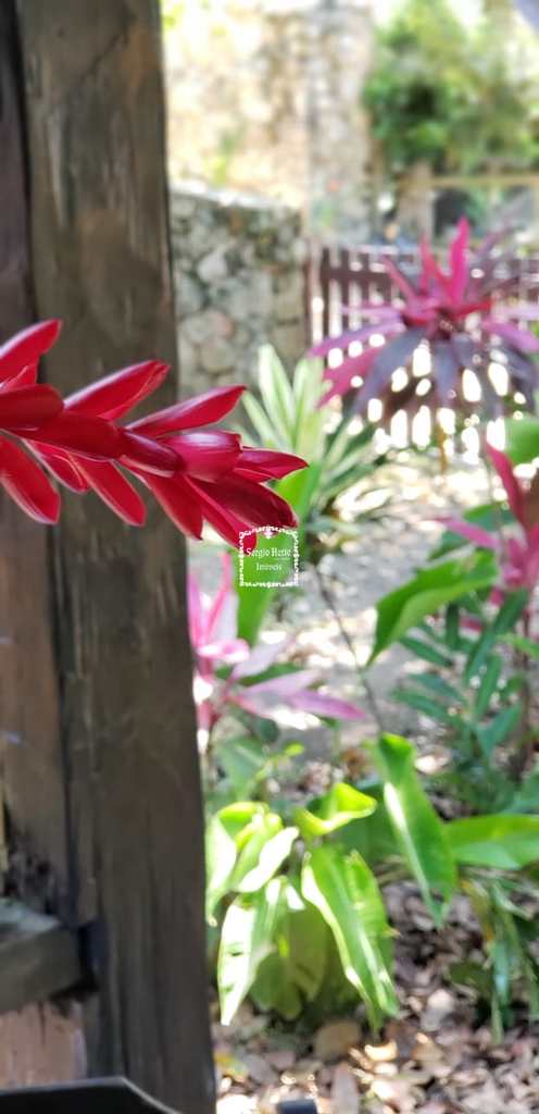Flat em Ilhabela, no bairro Sul