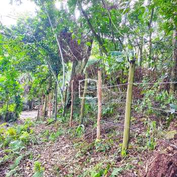 Terreno em Ilhabela, bairro Sul