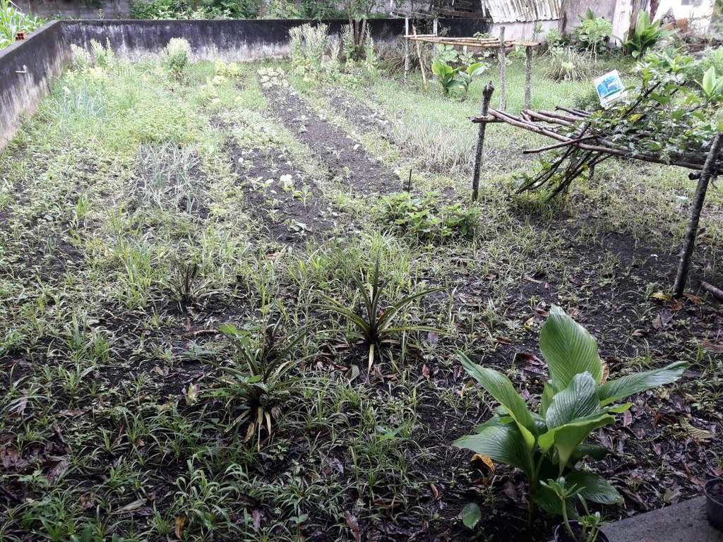 Sítio em Mogi das Cruzes, no bairro Quatinga