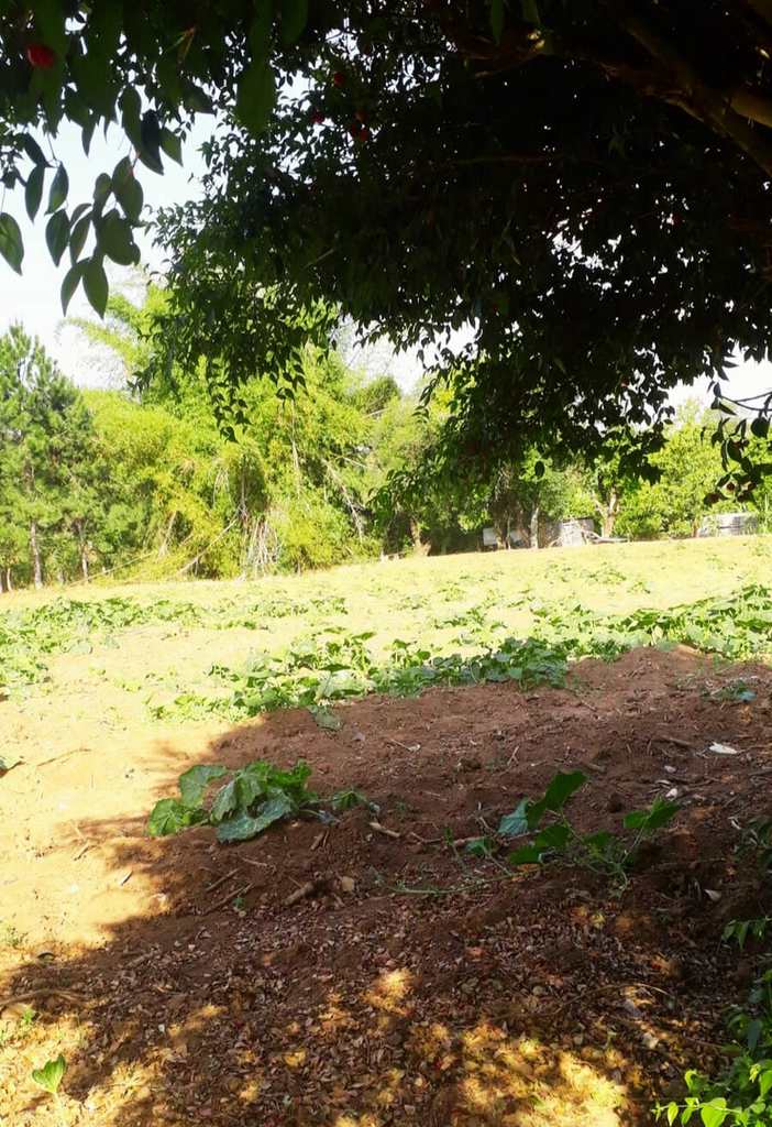 Sítio em Araçoiaba da Serra, no bairro Cercado