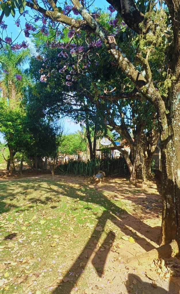 Sítio em Araçoiaba da Serra, no bairro Cercado