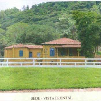Fazenda em Espírito Santo do Pinhal, bairro Zona Rural