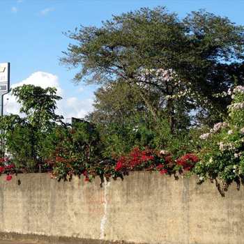 Terreno Comercial em Pirassununga, bairro Jardim América