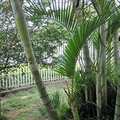 Casa em Pirassununga, bairro Jardim do Lago