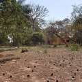 Terreno em Pirassununga, bairro Vila Santa Fé