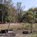 Terreno em Pirassununga, bairro Vila Santa Fé
