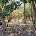 Terreno em Pirassununga, bairro Vila Santa Fé