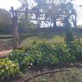 Chácara em Pirassununga, bairro Jardim Cachoeira