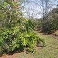 Chácara em Pirassununga, bairro Jardim Cachoeira