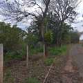 Sítio em Analândia, bairro Zona Rural