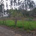 Sítio em Analândia, bairro Zona Rural