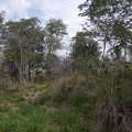Sítio em Analândia, bairro Zona Rural