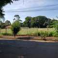 Terreno em Pirassununga, bairro Vila Santa Terezinha