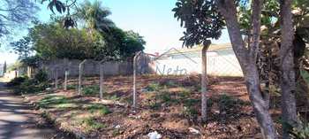 Terreno, código 10132259 em Pirassununga, bairro Vila Steola
