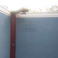 Casa em Pirassununga, bairro Centro