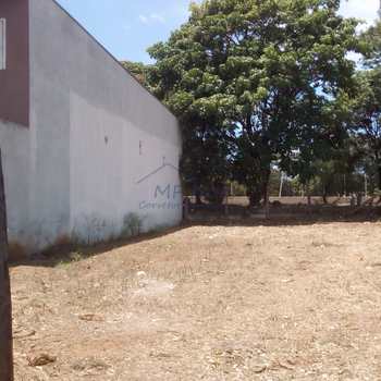 Terreno em Santa Cruz da Conceição, bairro Jardim São João