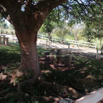 Sítio em Pirassununga, bairro Roque