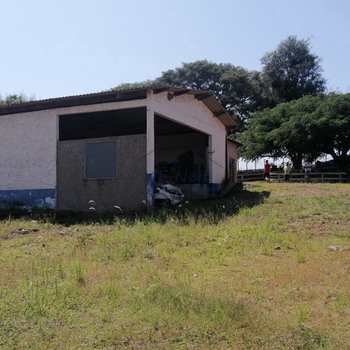 Sítio em Pirassununga, bairro Roque