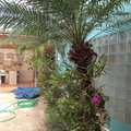Casa em Pirassununga, bairro Centro