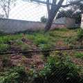 Armazém ou Barracão em Pirassununga, bairro Vila Industrial