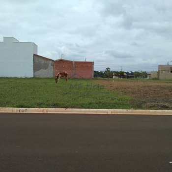 Terreno em Pirassununga, bairro Jardim São João