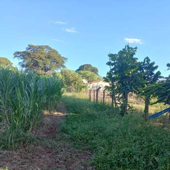 Sítio em Pirassununga, bairro Bonfim