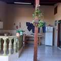 Casa em Pirassununga, bairro Jardim Pavesi