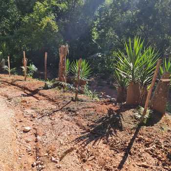 Sítio em Juruaia, bairro Sitio Beija-Flor