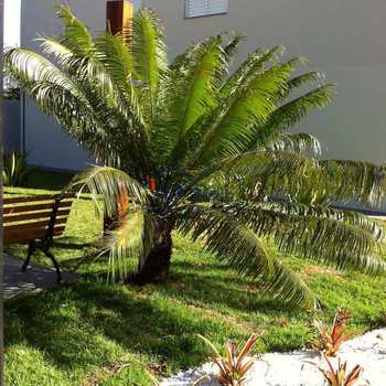 Apartamento em Pirassununga, bairro Residencial Eldorado