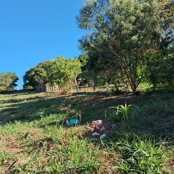 Chácara em Santa Cruz da Conceição, bairro Parque Santa Julieta