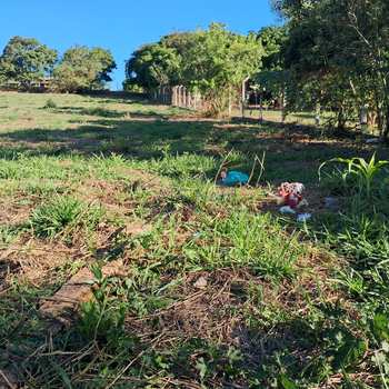 Chácara em Santa Cruz da Conceição, bairro Parque Santa Julieta
