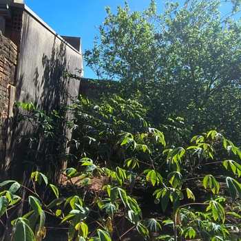 Terreno em Pirassununga, bairro Jardim do Lago