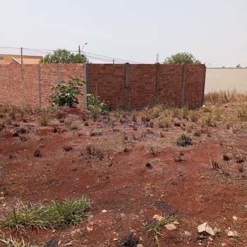 Terreno em Pirassununga, bairro Terrazul Ba