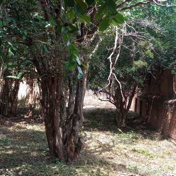 Terreno em Pirassununga, bairro Centro
