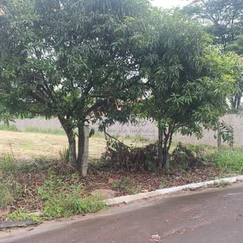 Terreno em Santa Cruz da Conceição, bairro Parque Santa Julieta