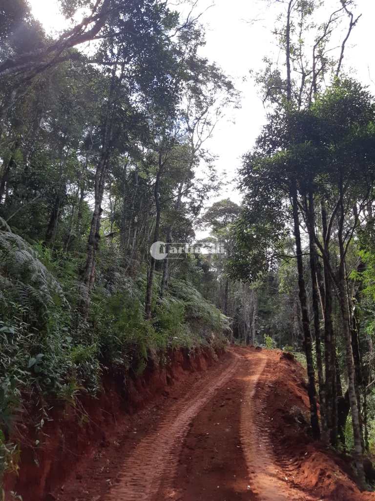 Terreno Rural em Santo Antônio do Pinhal, no bairro Aprox 3 Km do Centro