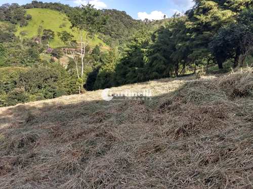 Terreno de Condomínio, código 687 em Santo Antônio do Pinhal, bairro 6 Km