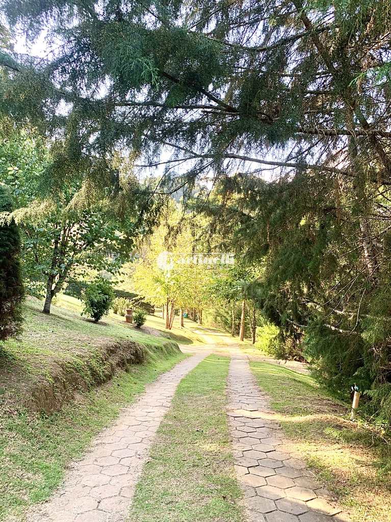 Fundo de Comércio em Santo Antônio do Pinhal, no bairro Aprox 3 Km do Centro