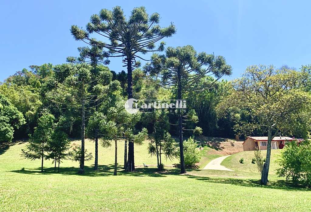 Fundo de Comércio em Santo Antônio do Pinhal, no bairro Aprox 3 Km do Centro