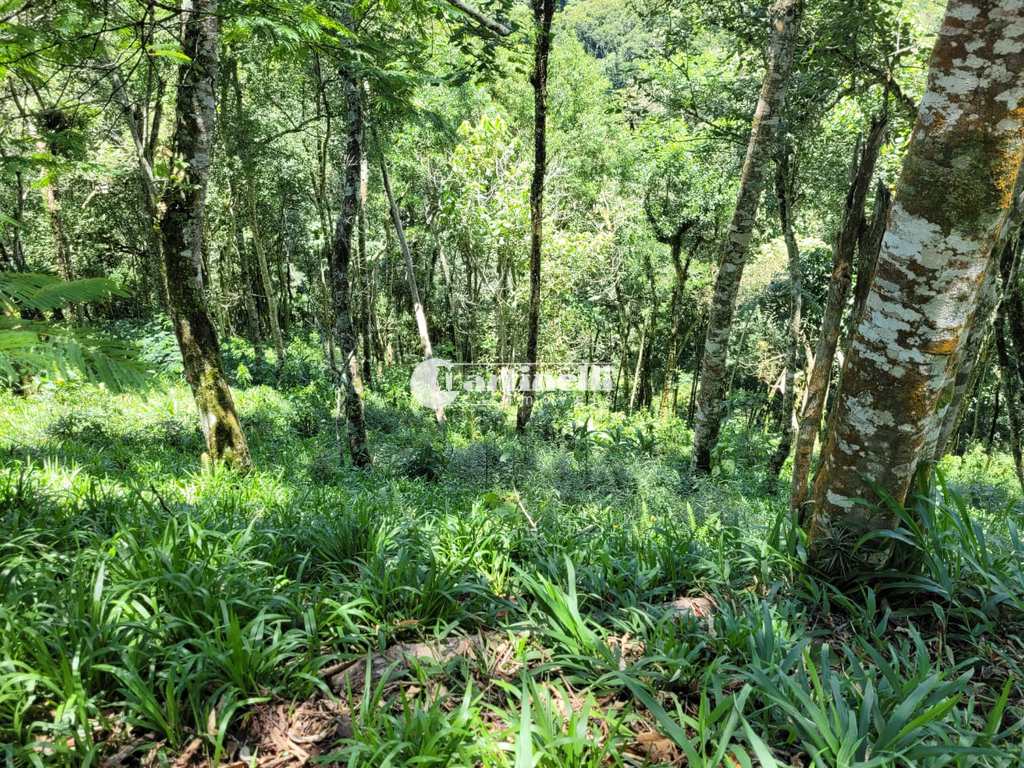 Terreno em Santo Antônio do Pinhal, no bairro 5 Km do Centro