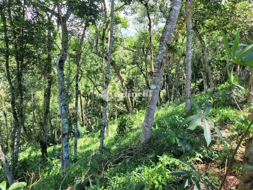 Terreno em Santo Antônio do Pinhal, no bairro 5 Km do Centro