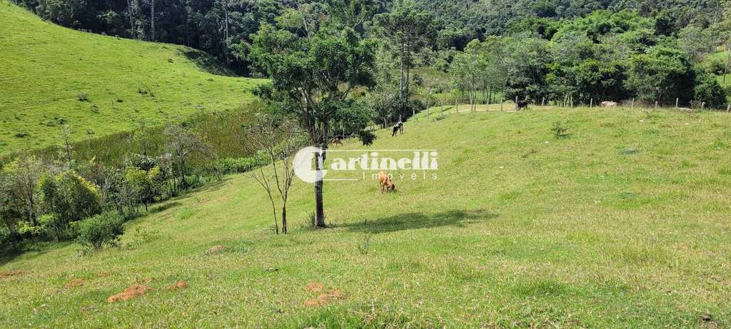 Sítio em Santo Antônio do Pinhal, no bairro Rural