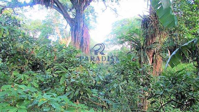Fazenda em Itabuna, no bairro Manoel Leão