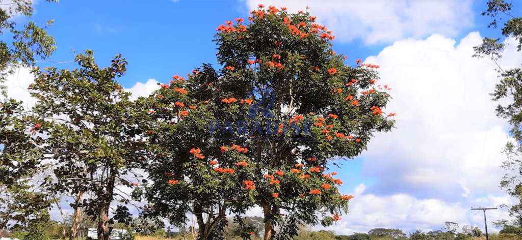 Fazenda em Itabuna, no bairro Manoel Leão