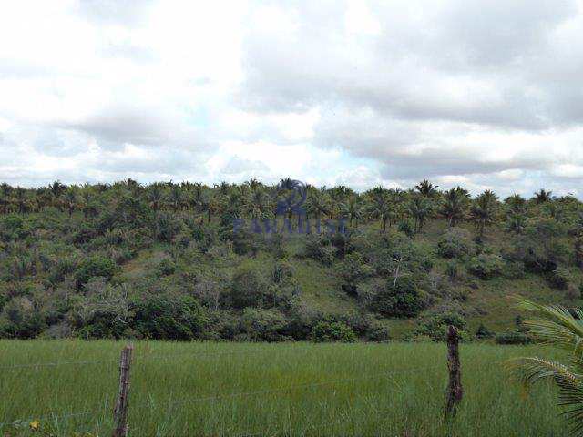 Terreno Rural em Camaçari, no bairro Arembepe (Abrantes)
