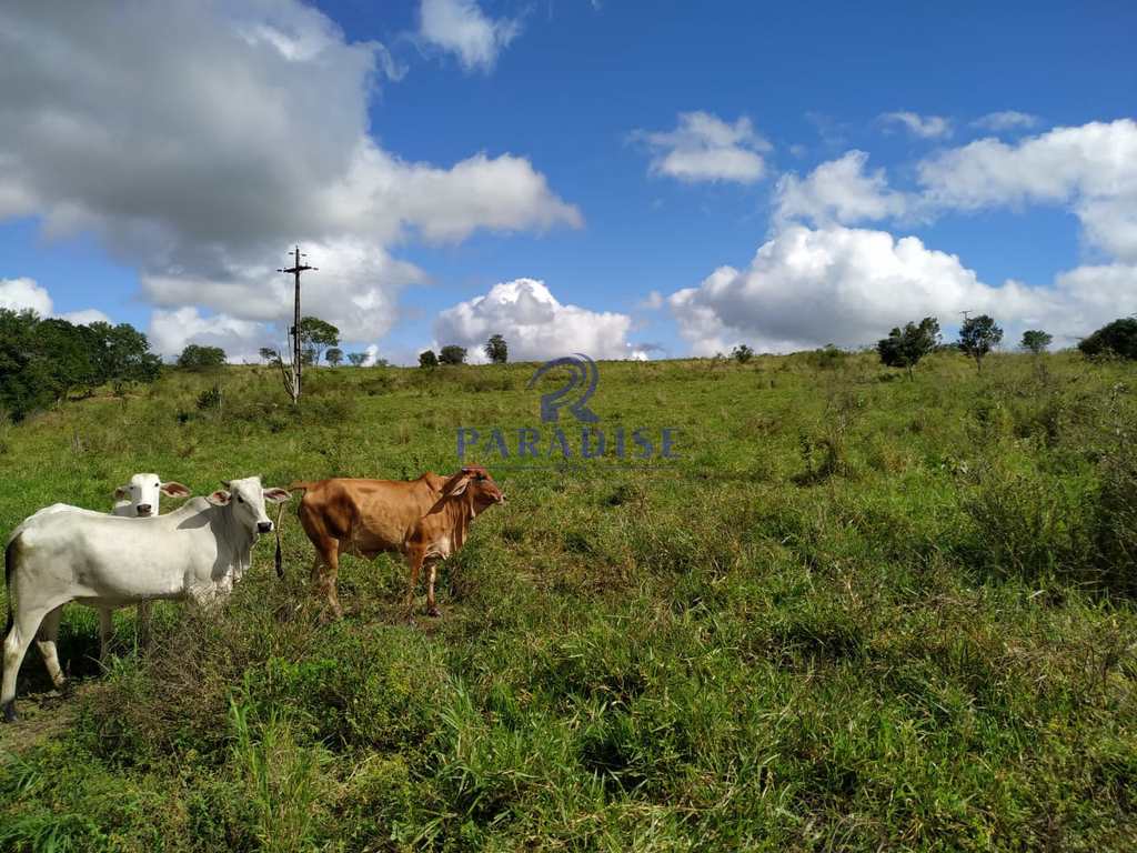 Fazenda em Itapetinga, no bairro Zona Rural